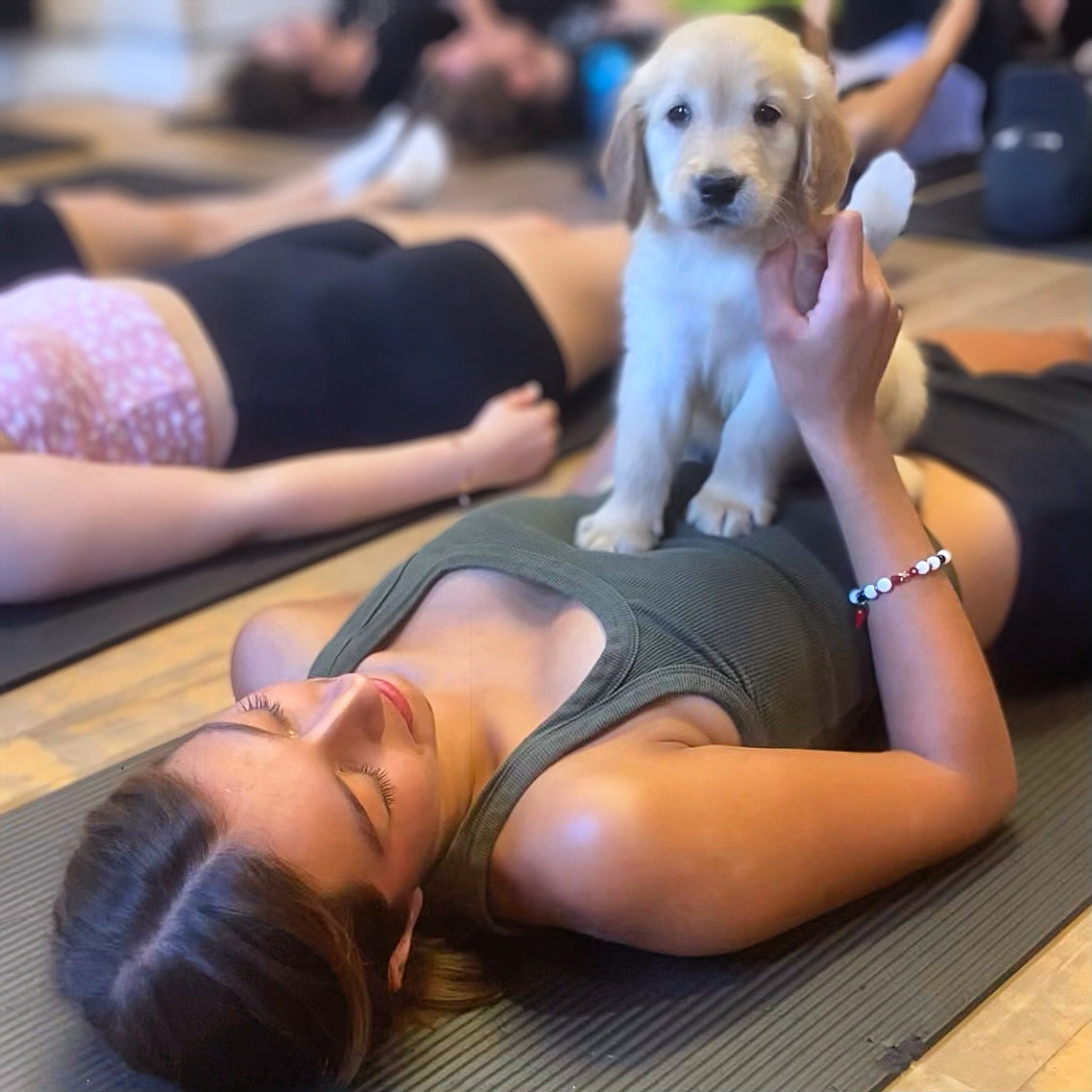 Golden retriever puppy participating in PawPals Puppy Yoga class in Toronto