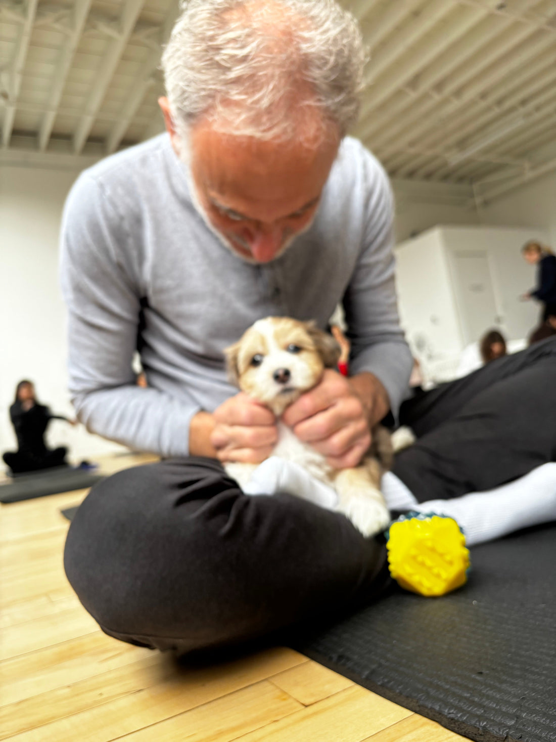 Corporate puppy yoga wellness in Toronto. A man cuddling an adorable puppy. Happiness and joy at our yoga studio