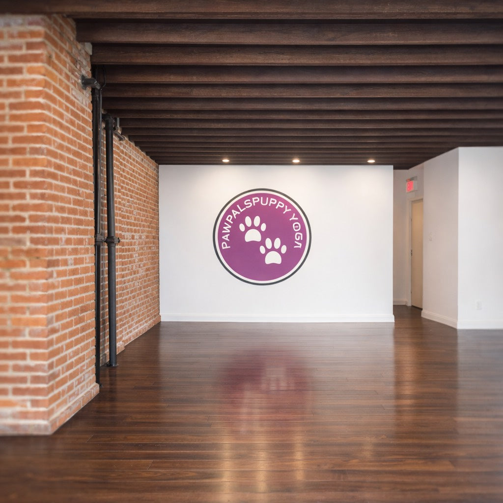 PawPals has a new home in Downtown Toronto
