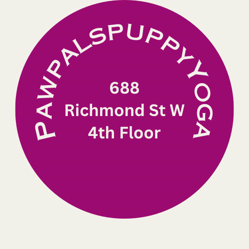 688 Richmond St W 4th Floor - June 1, 2024 Saturday