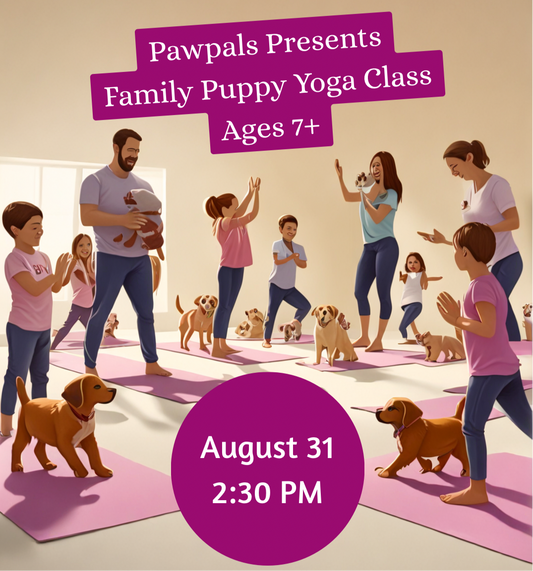 ..Family friendly class!! Ages 7+ August 31  2:30 PM
