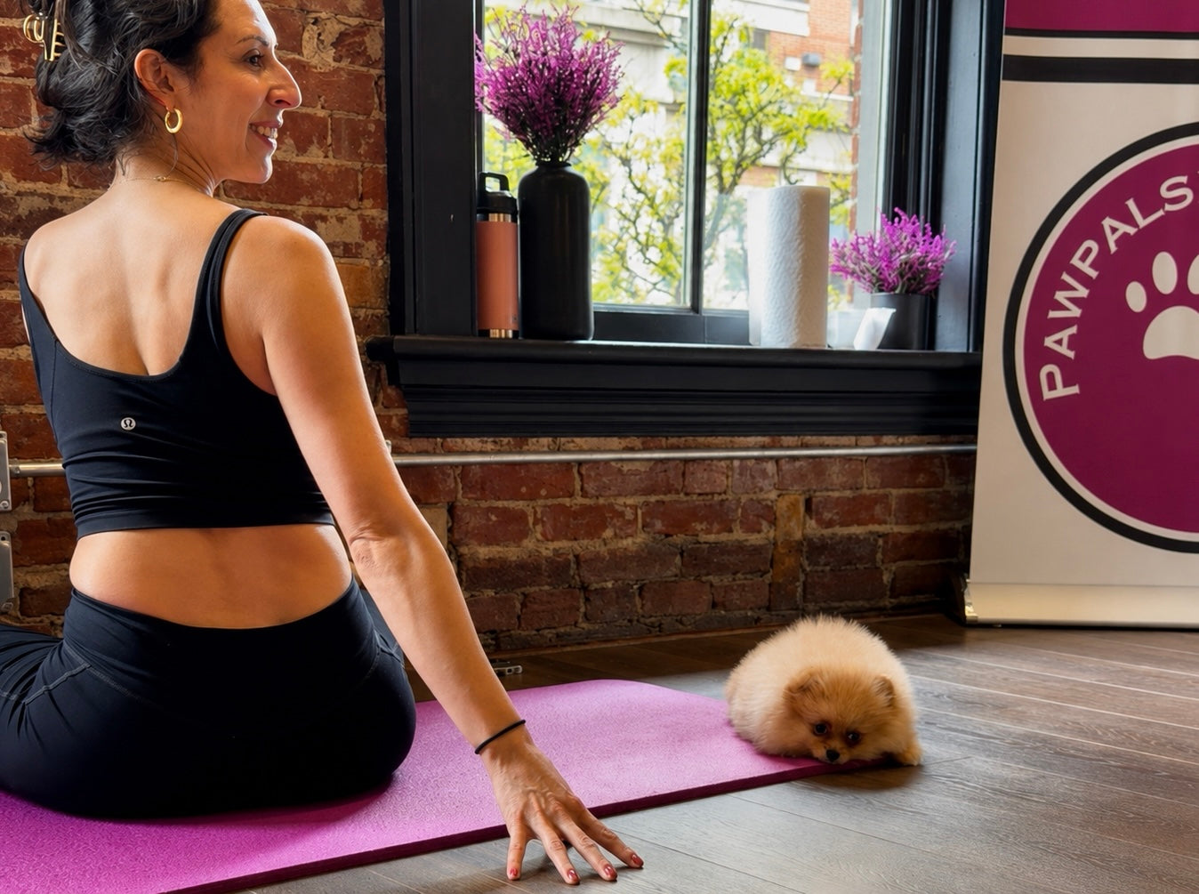 a woman is teaching a corporate puppy yoga class with a pomeranian puppy on her mat. She is in a beautiful brick studio in toronto. the studio has purple accents and is aesthetically pleasing.