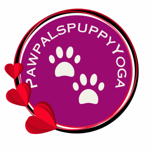 Valentines puppy yoga Toronto  date ideas 