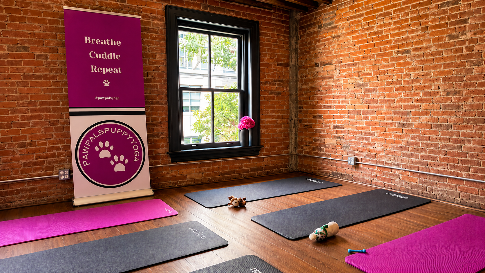 A puppy yoga or meditation class room with exposed brick walls, wooden floors, several black yoga mats, and a purple and white Pawpals puppy yoga banner standing by a window in toronto
