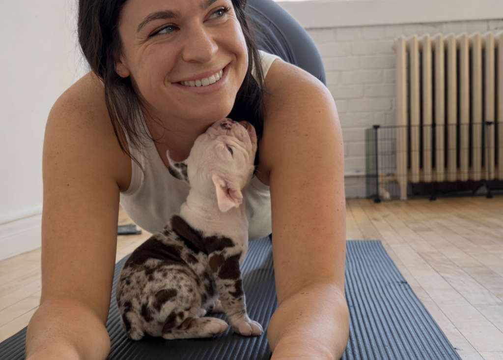 puppy yoga teacher at pawpals yoga. Ethical, affordable and boutique puppy yoga in toronto. 