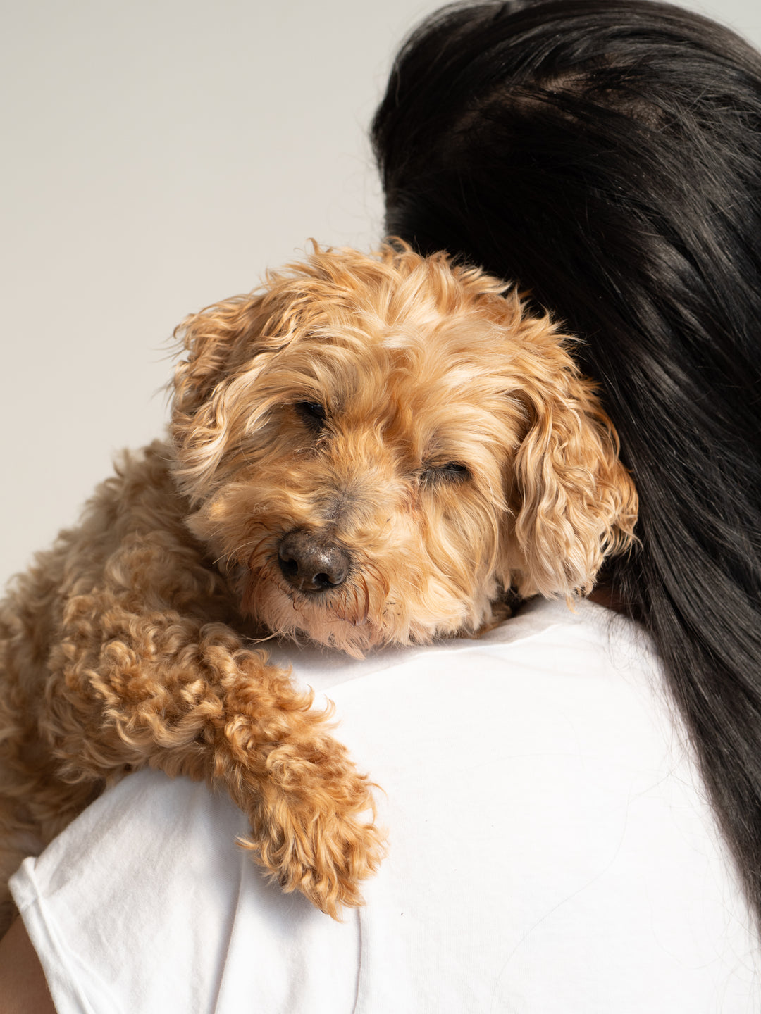 toronto ethical puppy yoga company